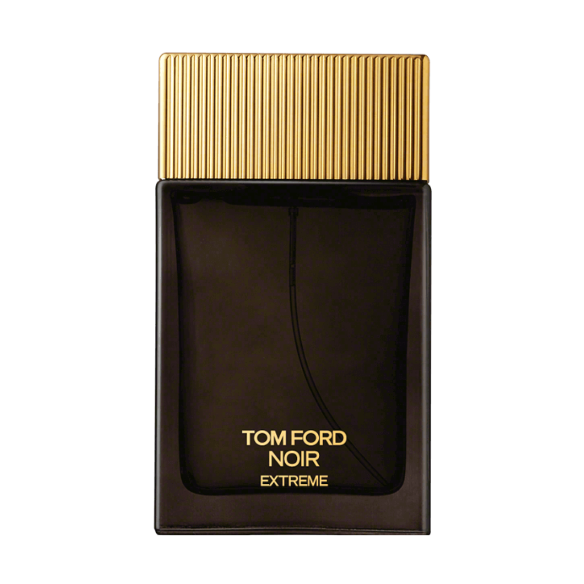 Tom Ford Noir Extreme EDP 100ML